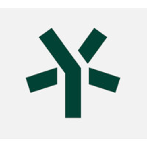 5Y Capital