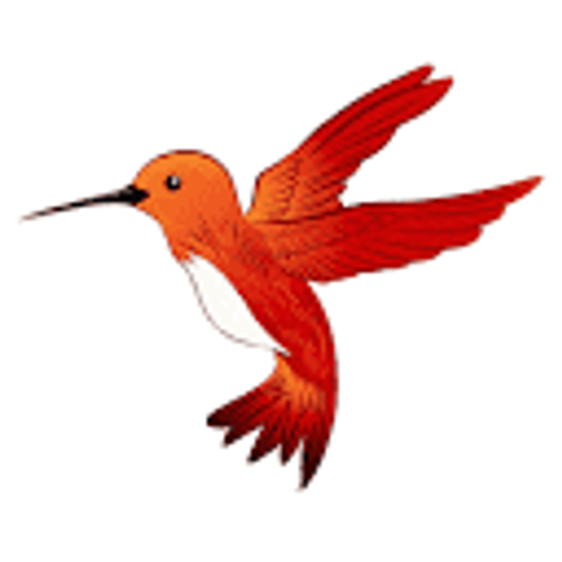 Hummingbird Ventures
