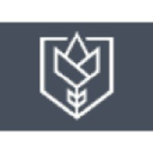 Maiden Lane Ventures
