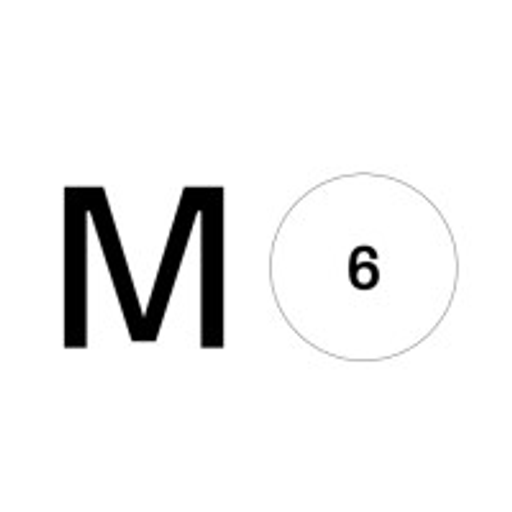 Momentum 6