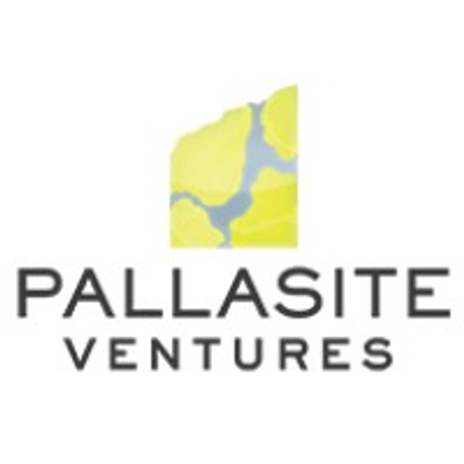 Pallasite Ventures