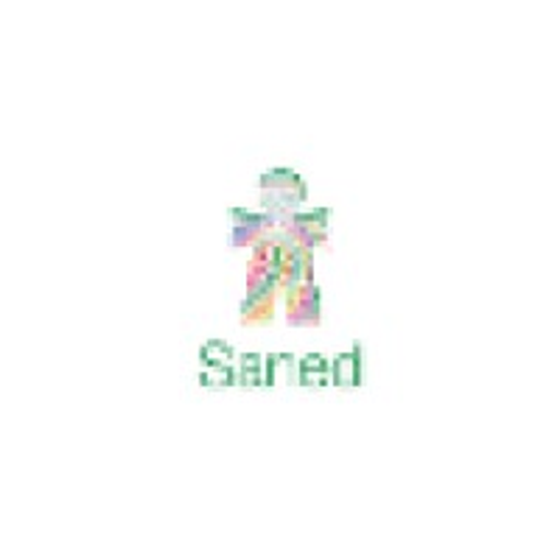 Saned Partners