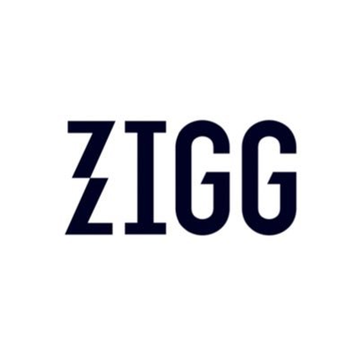 Zigg Capital